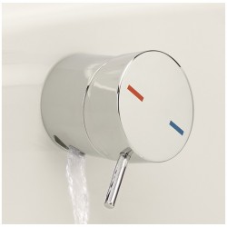 Bath Waste CentraFill with Lever Control