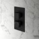 Stonewood Round Modern Two outlet Concealed Shower Valve - Matt Black