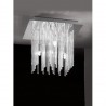 Light 36